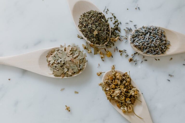Overhead view of dried plants on wooden spoons, representing herbal remedies and alternative medicine.